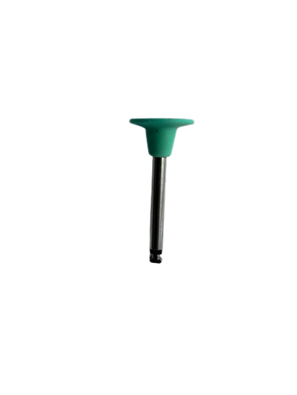 Neque laoreet suspendisse interdum consectetur